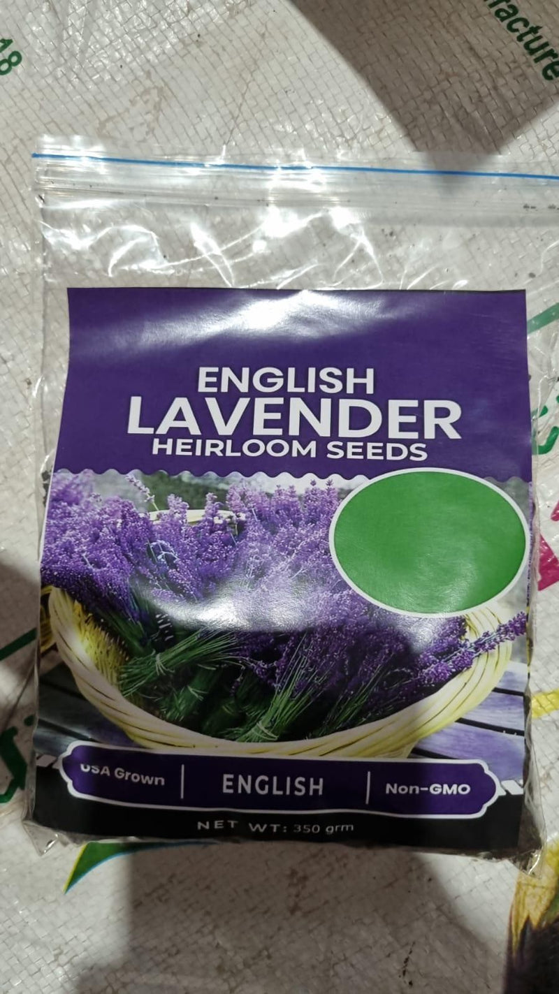 Lavender Seeds for Planting 350gm