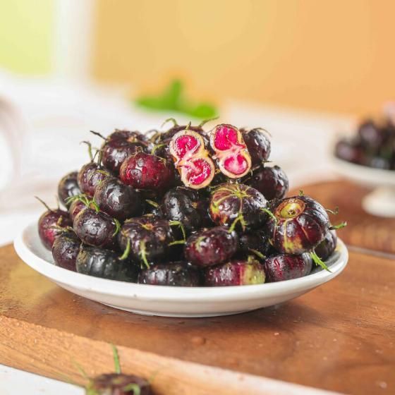 Imported Red Beery Ginseng-Spider Fruit Seeds