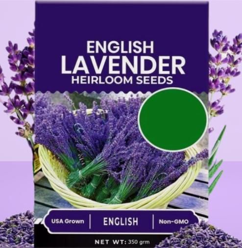 Lavender Seeds for Planting 350gm